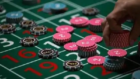 bodog