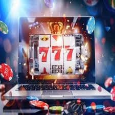 bodog
