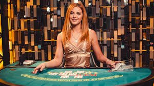 bodog