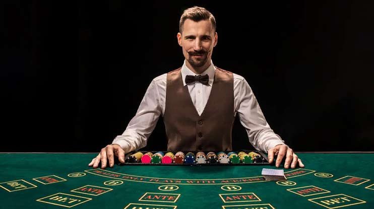 bodog