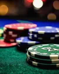 bodog