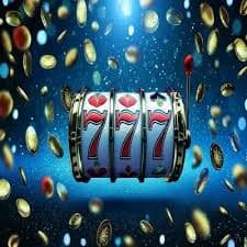 bodog